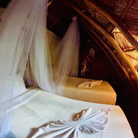 Apart Hotel Casaejido Playa del Carmen Room photo