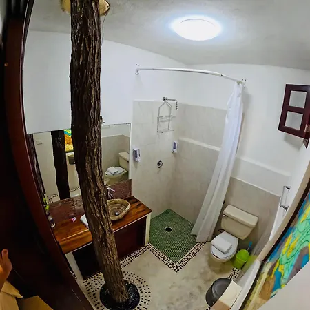 Apart Hotel Casaejido Playa del Carmen Room photo